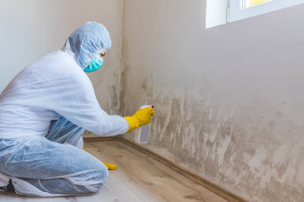 Licensed Commercial Mold Remediation service in Middleburg, VA - WQB Mold Removal