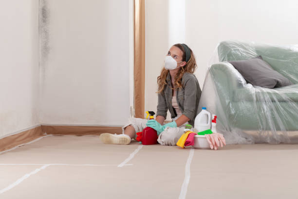 Reliable Commercial Mold Remediation contractor in Middleburg, VA by WQB Mold Removal